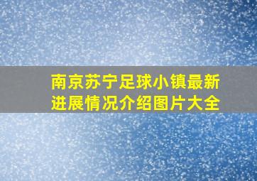 南京苏宁足球小镇最新进展情况介绍图片大全