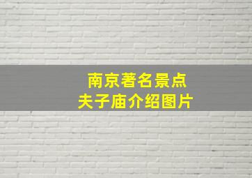 南京著名景点夫子庙介绍图片