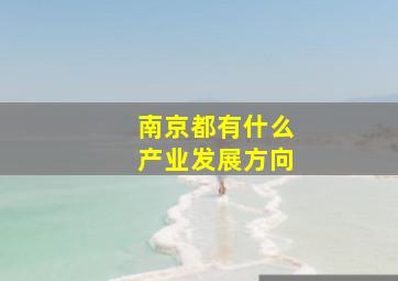 南京都有什么产业发展方向