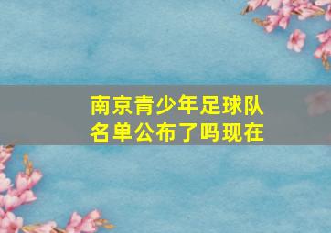 南京青少年足球队名单公布了吗现在