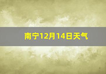 南宁12月14日天气