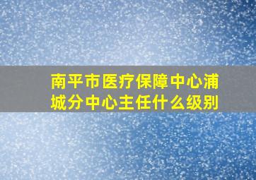 南平市医疗保障中心浦城分中心主任什么级别