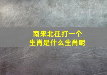 南来北往打一个生肖是什么生肖呢