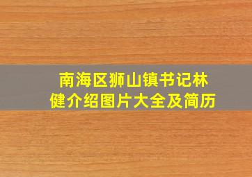 南海区狮山镇书记林健介绍图片大全及简历