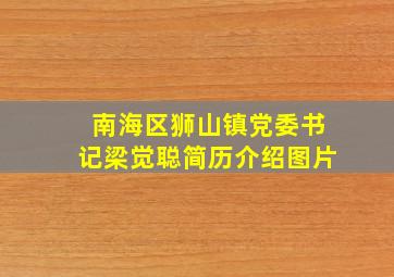 南海区狮山镇党委书记梁觉聪简历介绍图片