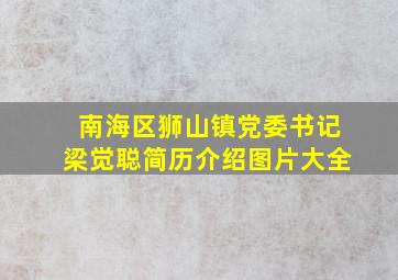 南海区狮山镇党委书记梁觉聪简历介绍图片大全