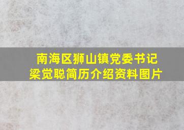 南海区狮山镇党委书记梁觉聪简历介绍资料图片