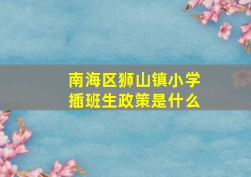 南海区狮山镇小学插班生政策是什么