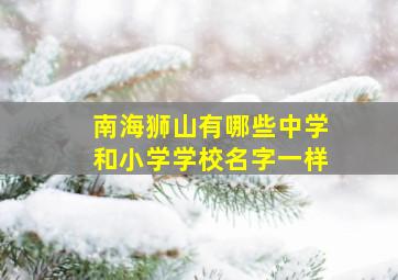 南海狮山有哪些中学和小学学校名字一样