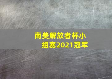 南美解放者杯小组赛2021冠军