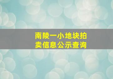 南陵一小地块拍卖信息公示查询