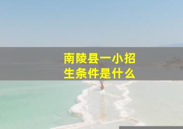 南陵县一小招生条件是什么