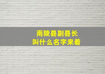 南陵县副县长叫什么名字来着