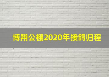 博翔公棚2020年接鸽归程