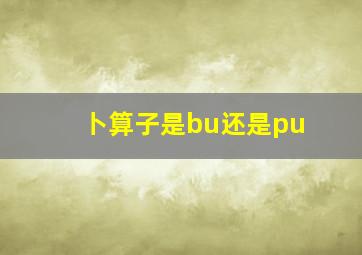 卜算子是bu还是pu