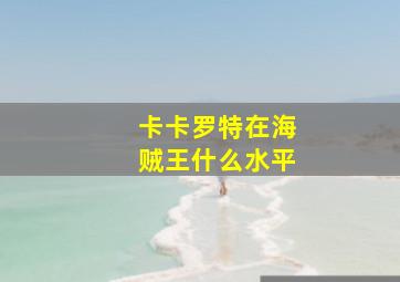 卡卡罗特在海贼王什么水平