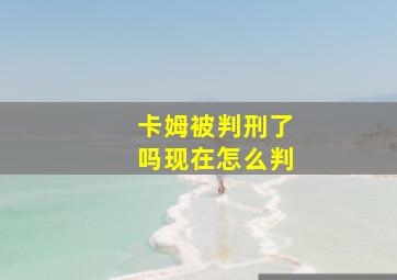 卡姆被判刑了吗现在怎么判