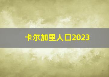 卡尔加里人口2023