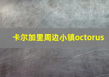 卡尔加里周边小镇octorus