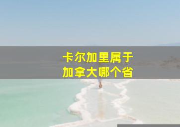 卡尔加里属于加拿大哪个省