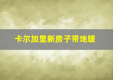 卡尔加里新房子带地暖