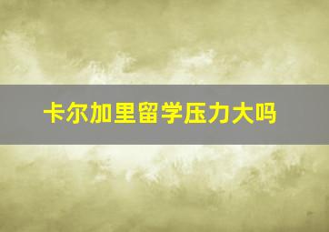 卡尔加里留学压力大吗