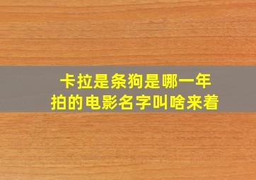 卡拉是条狗是哪一年拍的电影名字叫啥来着