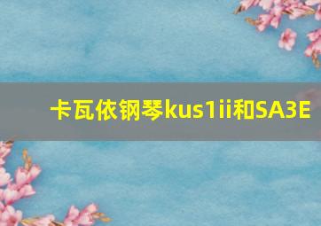 卡瓦依钢琴kus1ii和SA3E