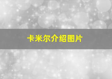 卡米尔介绍图片