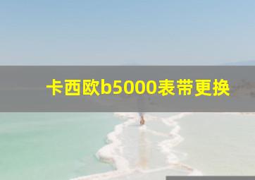 卡西欧b5000表带更换