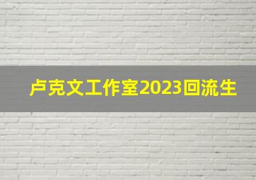 卢克文工作室2023回流生