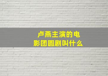 卢燕主演的电影团圆剧叫什么