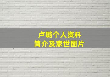 卢璐个人资料简介及家世图片