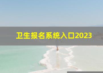 卫生报名系统入口2023