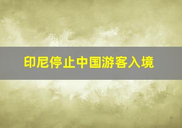 印尼停止中国游客入境