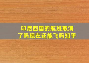 印尼回国的航班取消了吗现在还能飞吗知乎