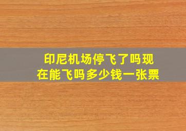 印尼机场停飞了吗现在能飞吗多少钱一张票