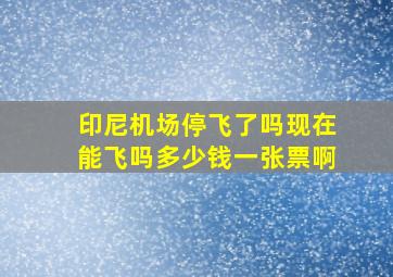 印尼机场停飞了吗现在能飞吗多少钱一张票啊