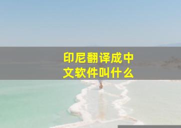 印尼翻译成中文软件叫什么