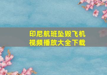 印尼航班坠毁飞机视频播放大全下载