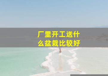 厂里开工送什么盆栽比较好