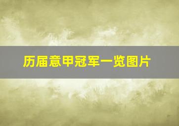 历届意甲冠军一览图片