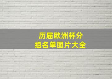 历届欧洲杯分组名单图片大全