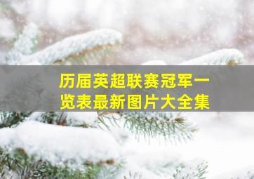 历届英超联赛冠军一览表最新图片大全集