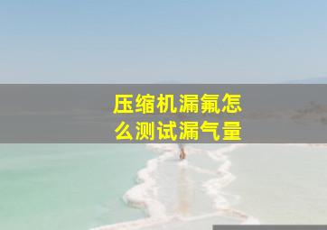 压缩机漏氟怎么测试漏气量