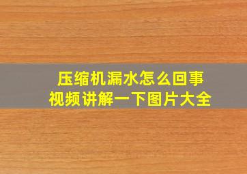 压缩机漏水怎么回事视频讲解一下图片大全