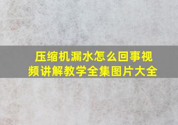 压缩机漏水怎么回事视频讲解教学全集图片大全