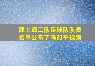 原上海二队足球队队员名单公布了吗知乎视频