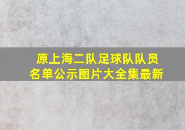 原上海二队足球队队员名单公示图片大全集最新