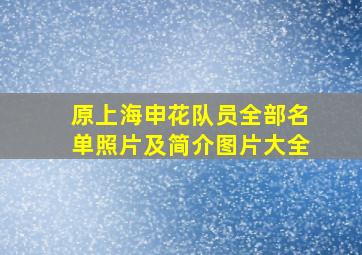 原上海申花队员全部名单照片及简介图片大全